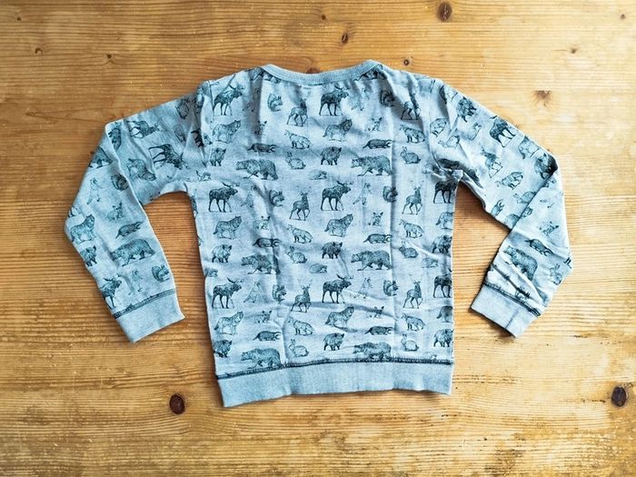 Sweat garçon imprimé animaux – PocoPiano – 8 ans – TBE - photo numéro 2