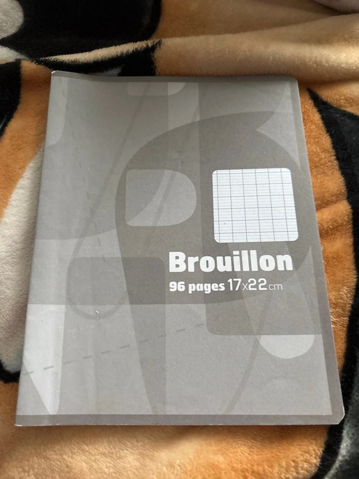 Lot cahier - photo numéro 7