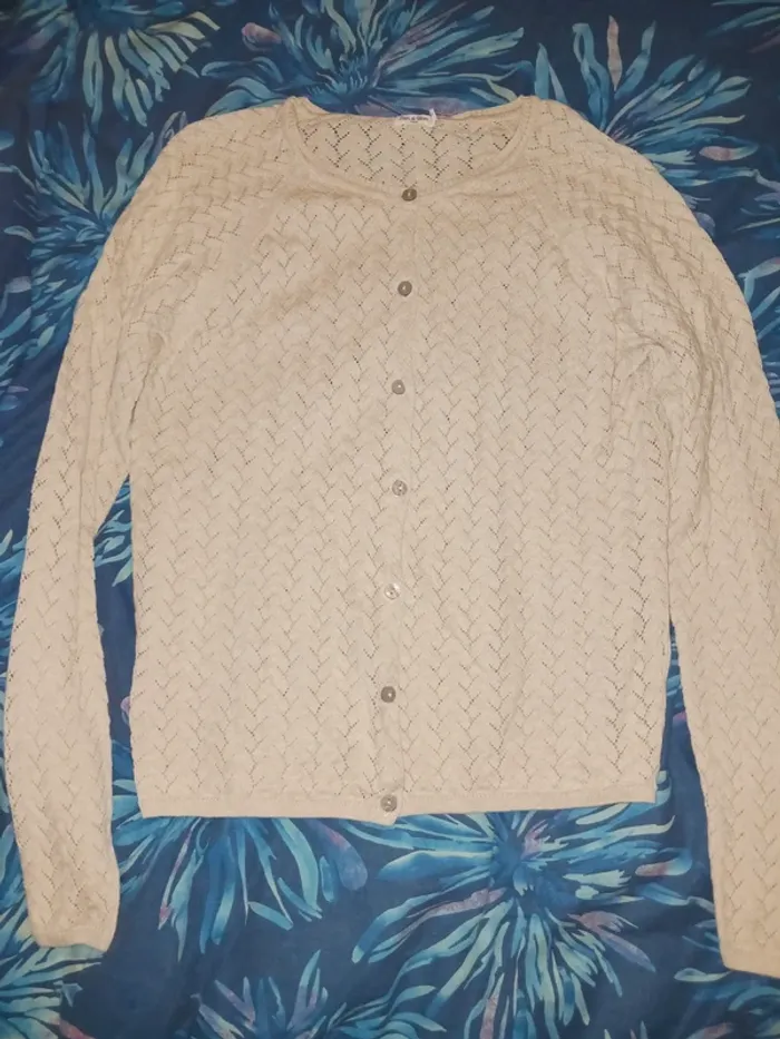 Lot pull et gilets 12 ans - photo numéro 6