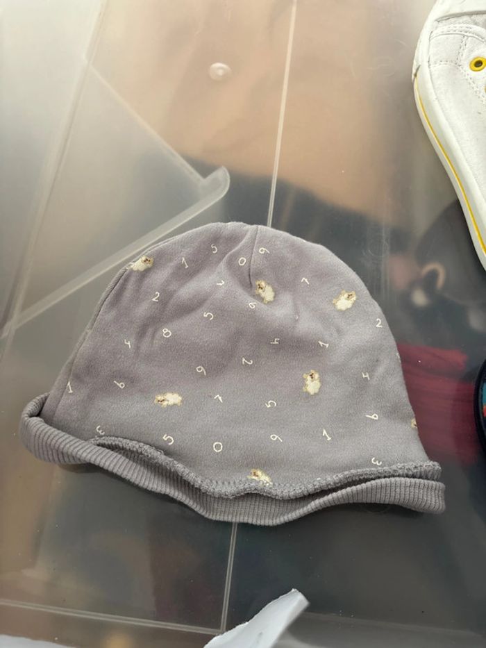 Bonnet