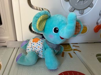 Éléphant marchant à 4 pattes