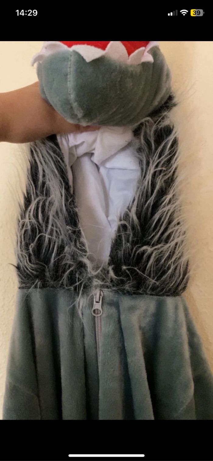 Déguisement - photo numéro 3