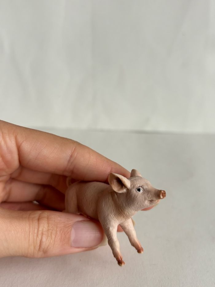 Porcelet papo - photo numéro 3