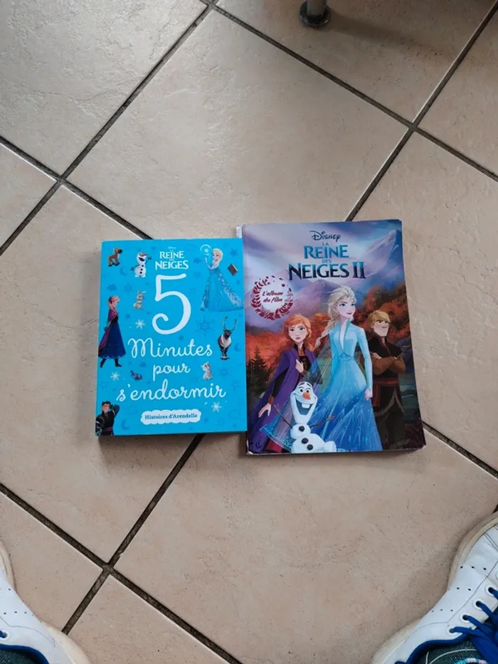 Livres reine des neiges