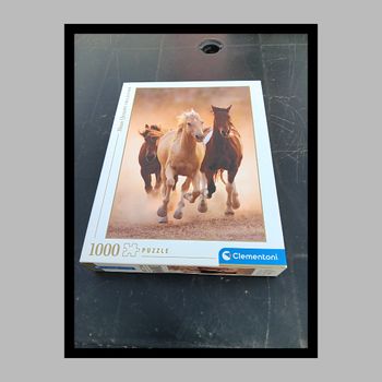 Puzzle 1000 pièces 