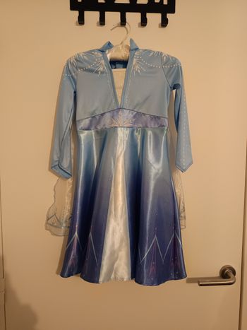 Déguisement la reine des neiges