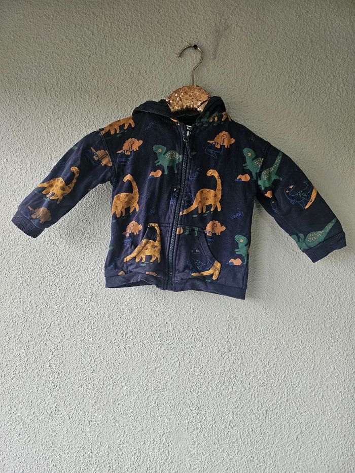 Veste zippée à capuche dinosaures pour garçon - photo numéro 3
