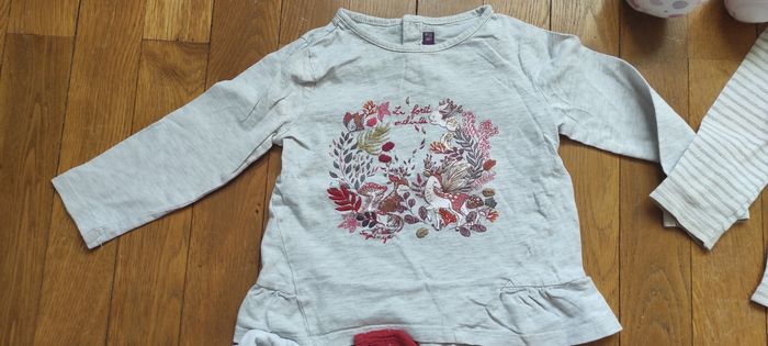 Lot de 6 tee shirt manches longues 86cm - photo numéro 6
