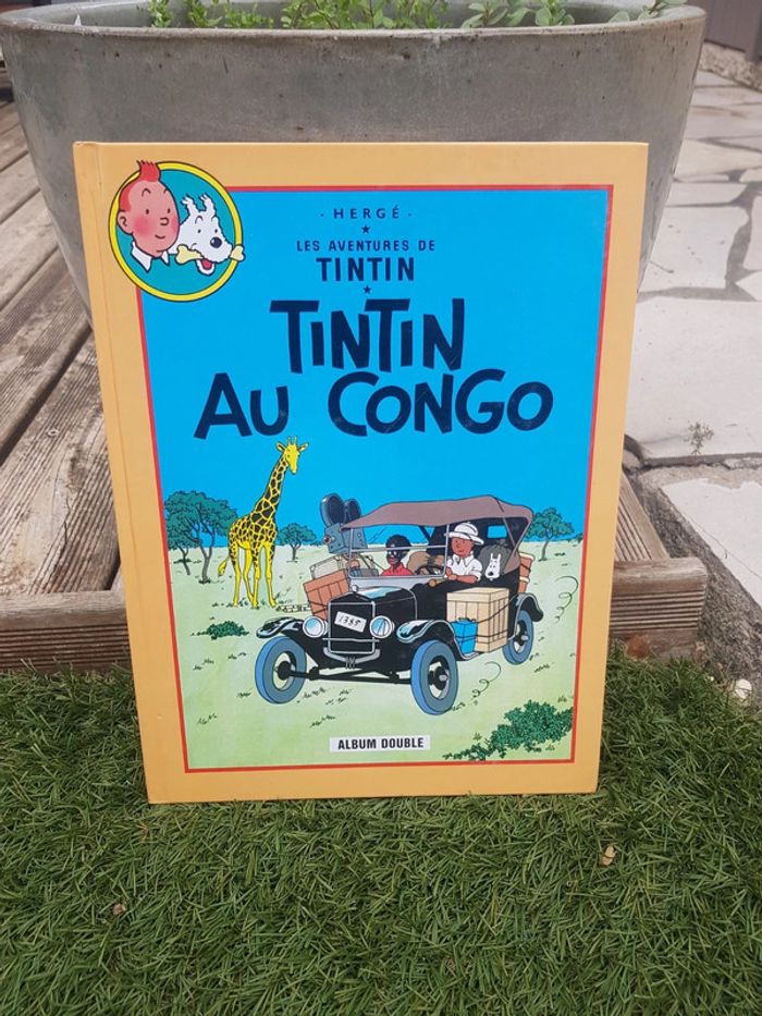BD Tintin double album