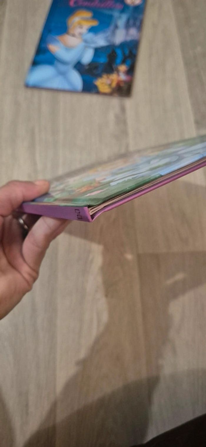 Livres - Cendrillon et Cendrillon 2 - photo numéro 6