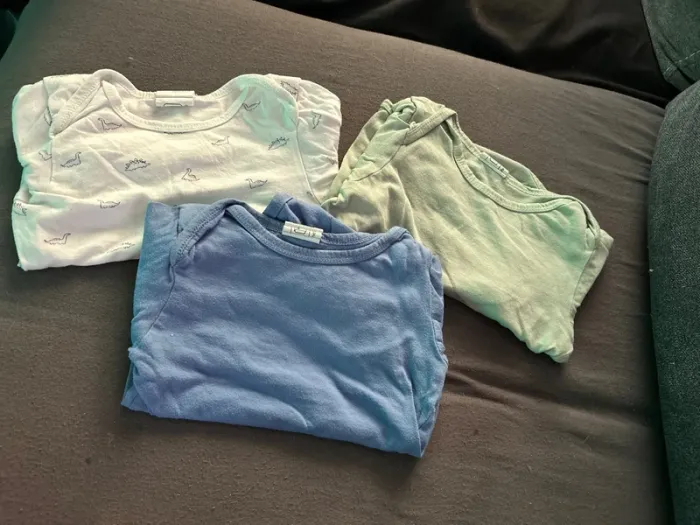3 bodies