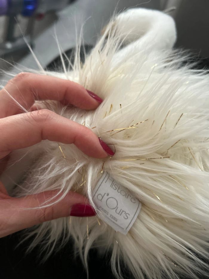 Cygne Histoire d’ours neuf - photo numéro 5