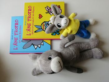 trotro livre et peluche