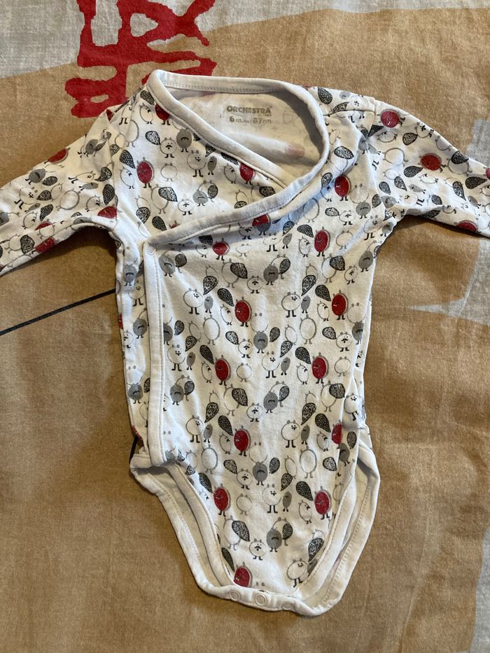 Lot de 4 bodies manches longues taille 6 mois - photo numéro 3