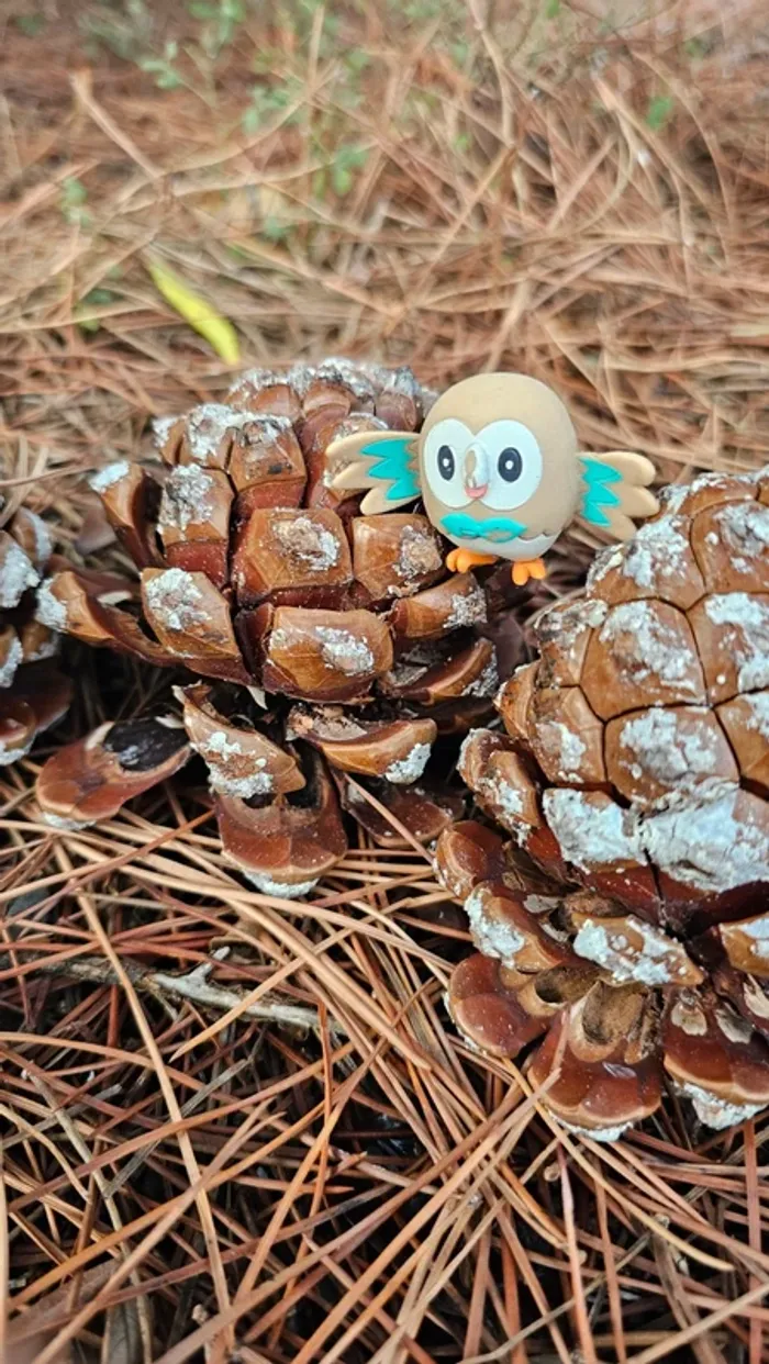 Super figurine Pokemon Nintendo Brindibou - photo numéro 2