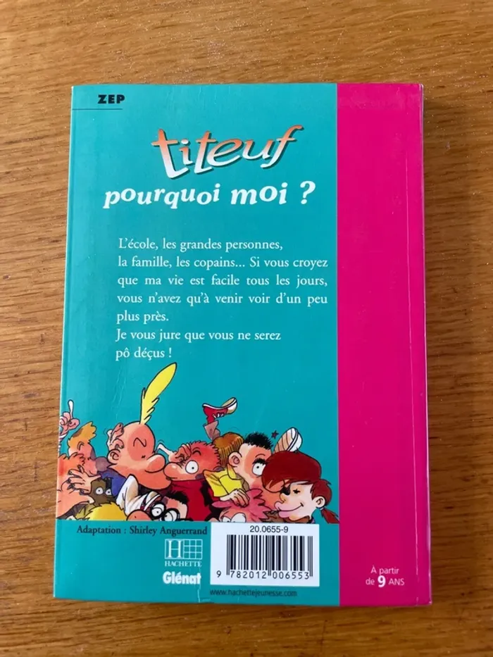 Livre fiteuf - photo numéro 2