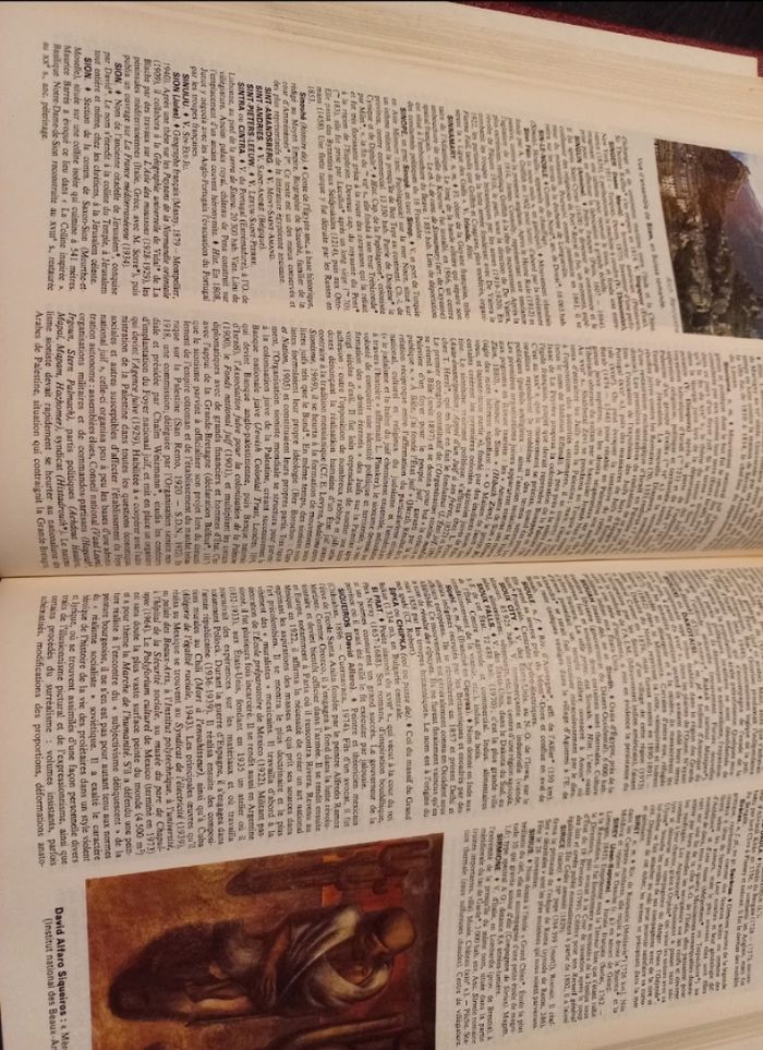 Lots 3 livres le Robert dictionnaire - photo numéro 5