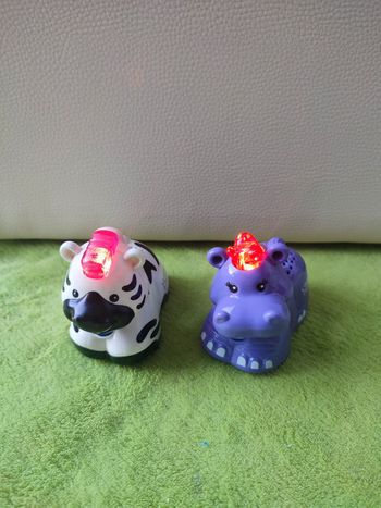 Hippo et zébre tut tut animaux