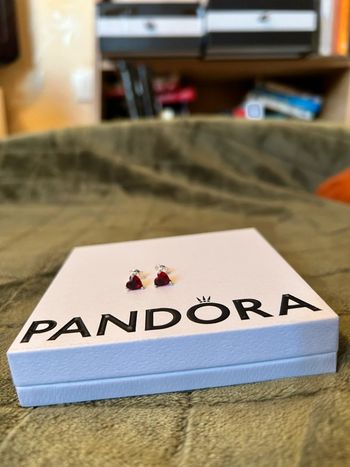 Clous d’Oreilles Cœur Rouge