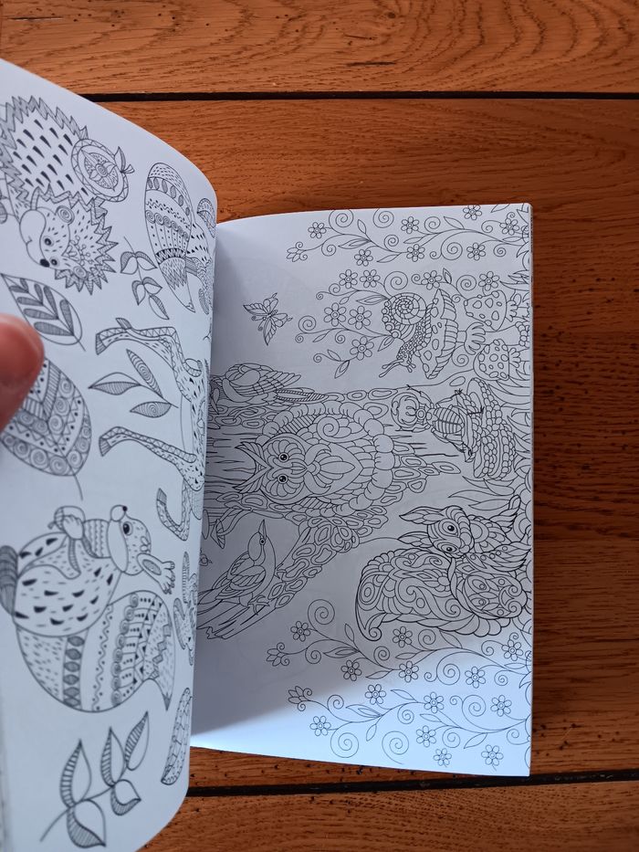 Livre de coloriage - photo numéro 3