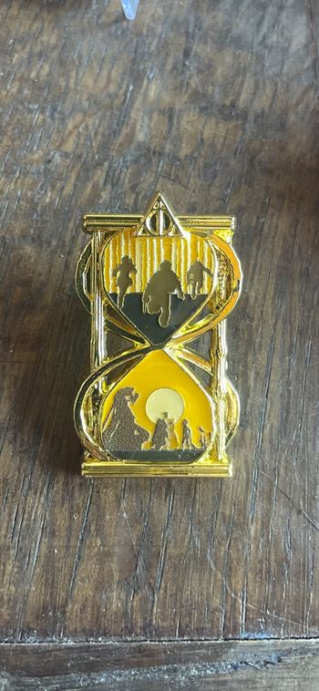 Pin's collection Harry Potter Loungefly