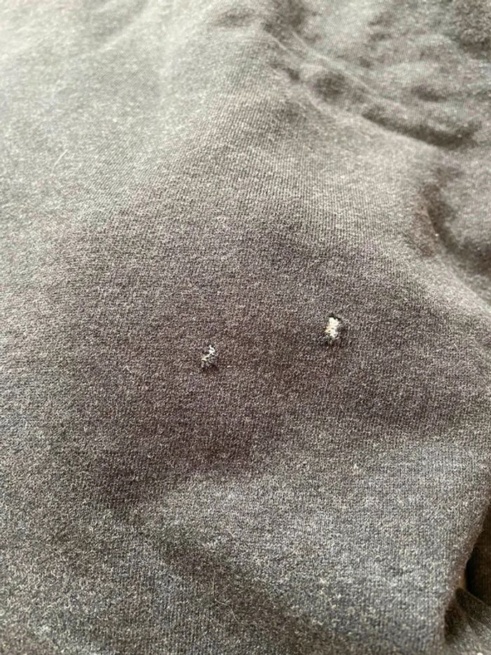 Sweat Lacoste Gris Anthracite | FR 4 | US M - photo numéro 5