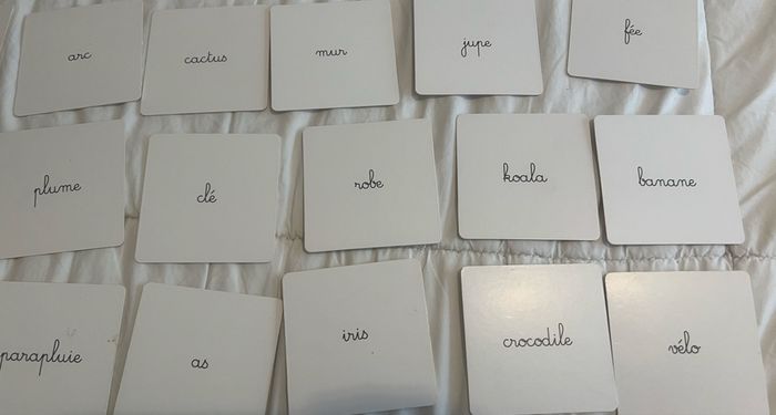 Mon grand coffret de lecture montessori - photo numéro 6