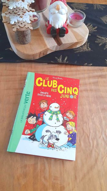 Livre Club des 5 junior Tome 8 Enquête sous la neige