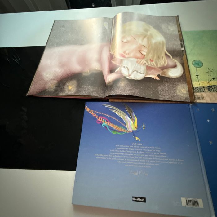 Lot de cinq livres pour enfants - photo numéro 3
