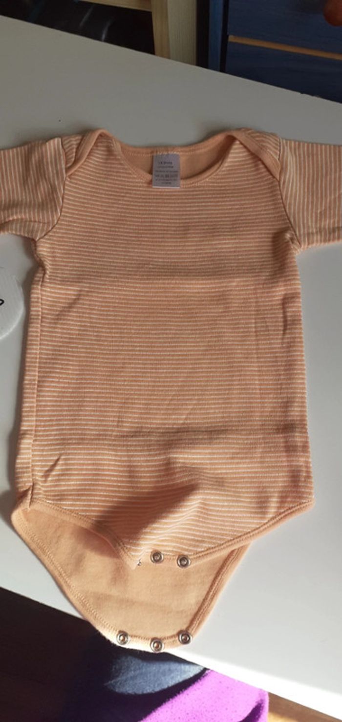Lot de 3 bodies manches courtes 18 mois - photo numéro 2