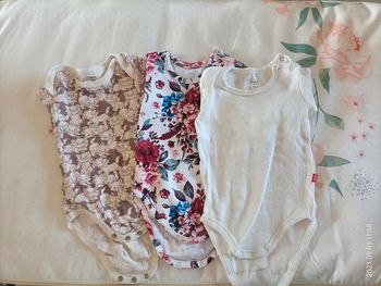 Lot 3 body manches longues