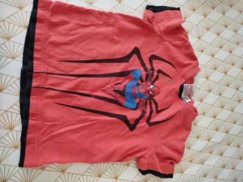 Tee shirt Spiderman