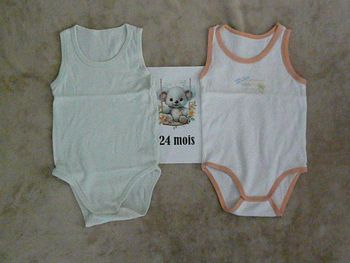 Lot 2 bodies 24 mois