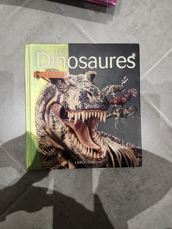 Livre enfant : Les dinosaures a la loupe