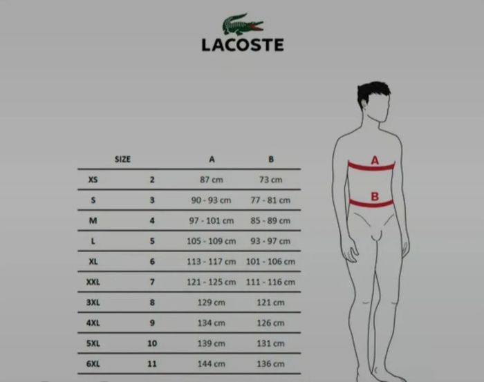 👕 Pull Lacoste vert foncé – col V – taille L - photo numéro 8