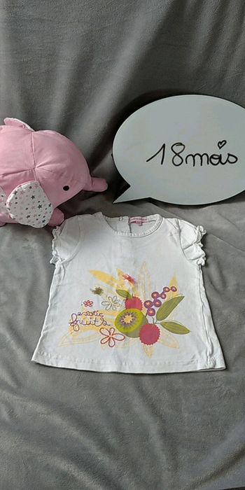 Tee shirt manches courtes Fille 18 mois thème Fruits exotiques Graine de rêve 100% coton
