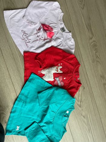 Lot t shirts manches longues fille
