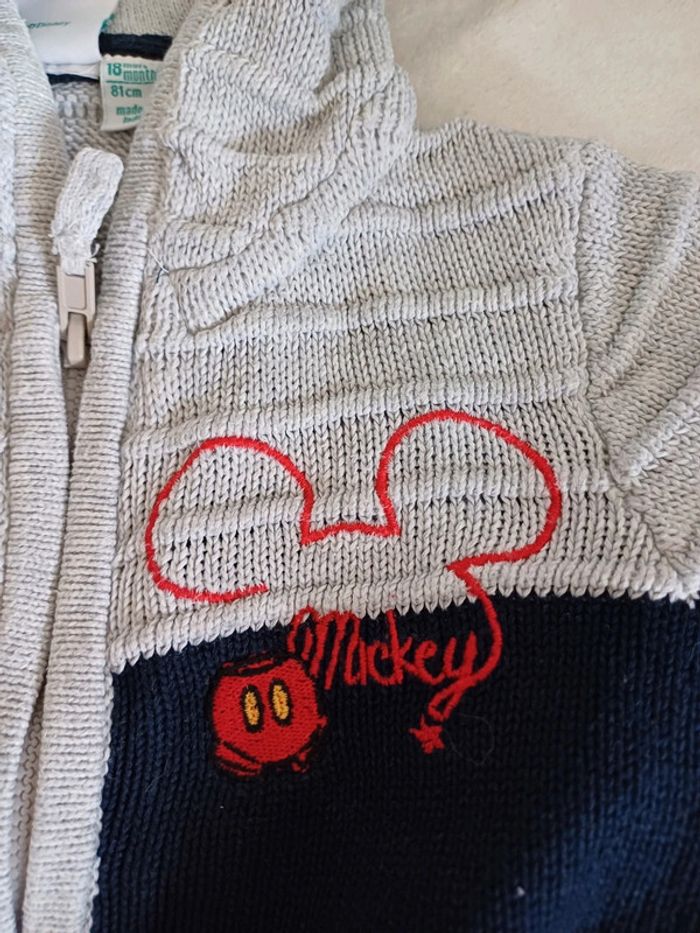 Gilet zippé 18 mois Disney - photo numéro 2