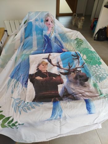 Parure une personne Reine des neiges