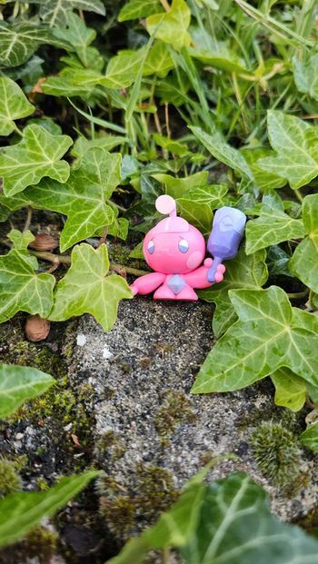 Super figurine Pokemon Nintendo forgerette