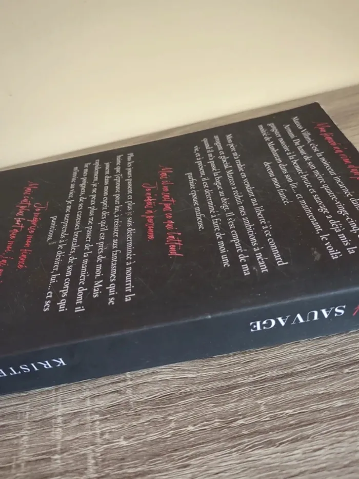 Livre dark romance Un chef sauvage de Kristen Luciani - photo numéro 4