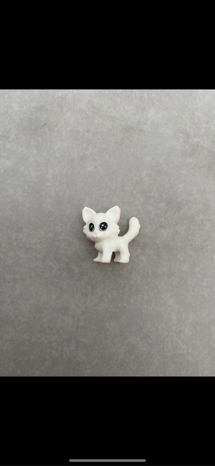Petit chat blanc