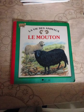 La vie des moutons