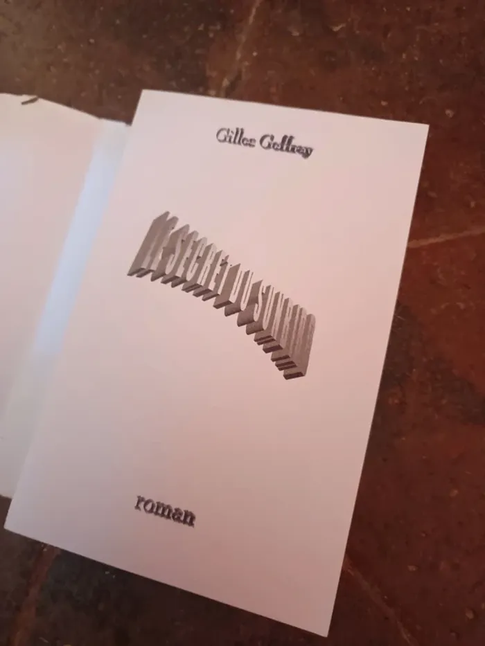 Livre le secret du Sunbird - photo numéro 5