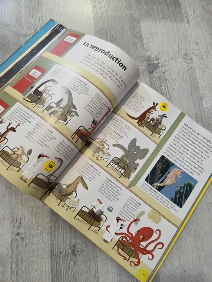 Livre mon encyclopédie Dokeo - photo numéro 6