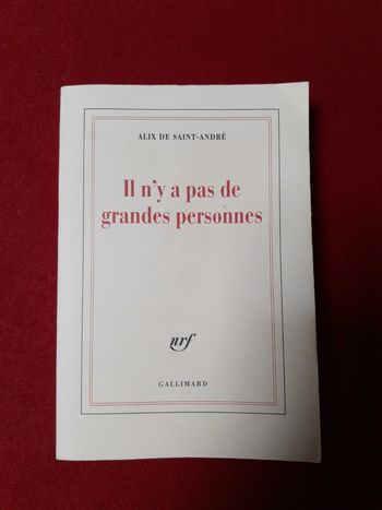 Il n'y a pas de grandes personnes Alix de Saint-André