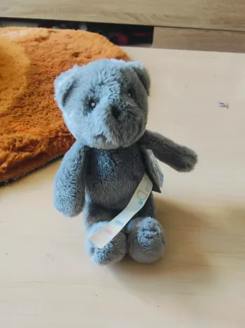 Petit ours gris