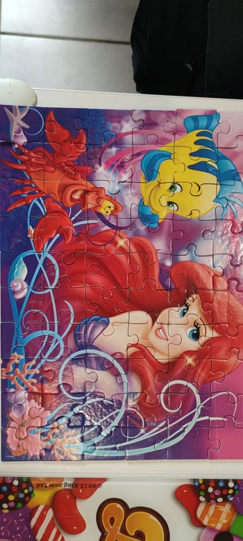 Puzzle ariel