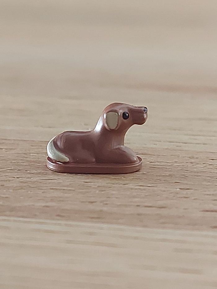 Polly pocket chien
