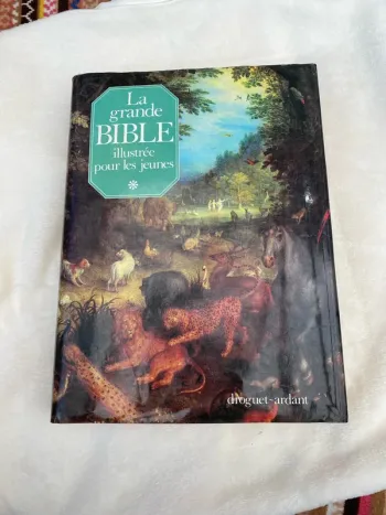 La grande Bible illustrée pour les jeunes